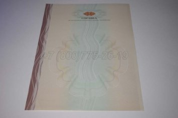 Академическая Справка ВУЗа 2022г в Волгограде
