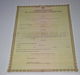 Свидетельство об Установлении Отцовства 2018г в Волгограде