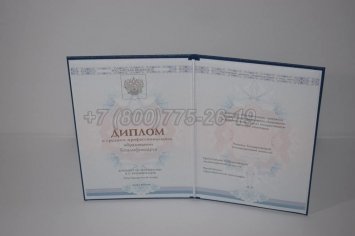 Диплом Техникума 2018г ГОЗНАК в Волгограде