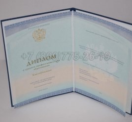 Диплом Техникума 2022г СпецБланк в Волгограде