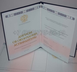 Диплом Аспирантуры 2024г в Волгограде