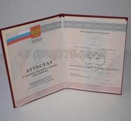 Аттестат За 11 Класс 2011г Серебро в Волгограде