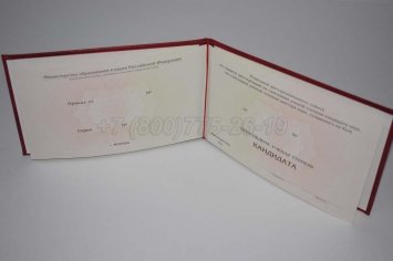 Диплом Кандидата Наук 2019г в Волгограде