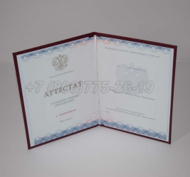 Аттестат За 11 Класс 2024г Золото ГОЗНАК в Волгограде