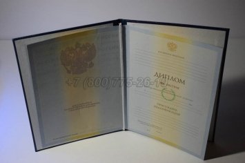 Диплом Института 2010г в Волгограде