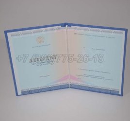 Аттестат За 11 Класс 2023г СпецБланк в Волгограде