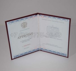 Аттестат За 11 Класс 2020г Золото ГОЗНАК в Волгограде