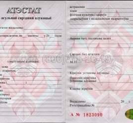 Аттестат о Полном Среднем Образовании Беларуси 2016г в Волгограде