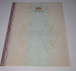 Академическая Справка ВУЗа 2023г в Волгограде