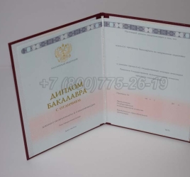 Красный Диплом Бакалавра 2024г ГОЗНАК в Волгограде