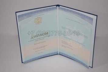 Диплом Техникума 2018г СпецБланк в Волгограде