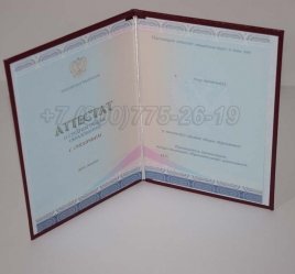 Аттестат За 11 Класс 2020г Золото СпецБланк в Волгограде