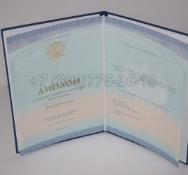 Диплом Колледжа 2023г СпецБланк в Волгограде