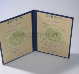 Диплом о Высшем Образовании Украинской ССР в Волгограде